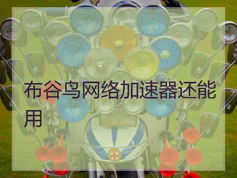 布谷鸟网络加速器还能用