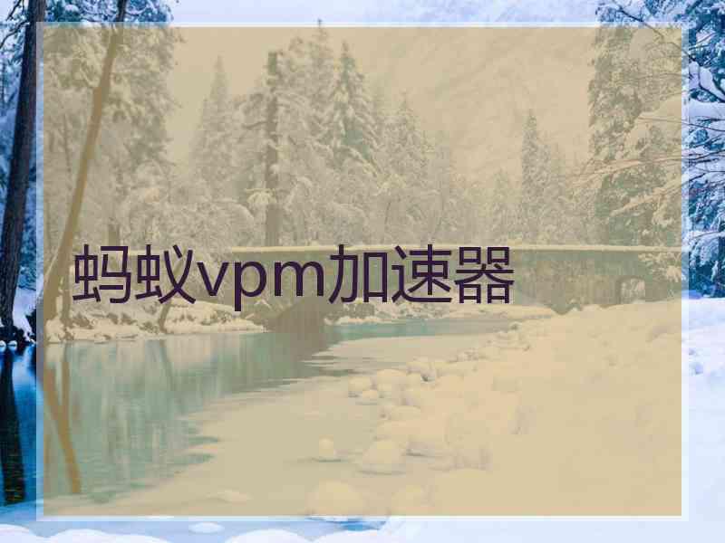 蚂蚁vpm加速器