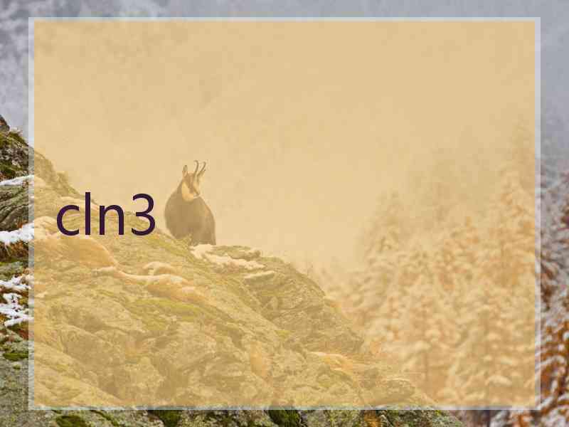 cln3