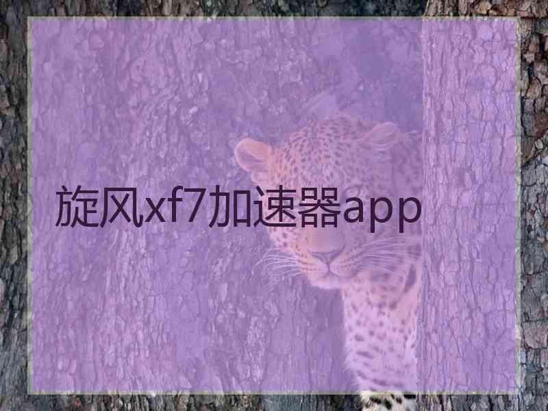 旋风xf7加速器app