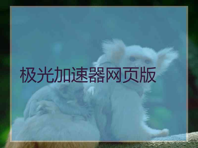 极光加速器网页版