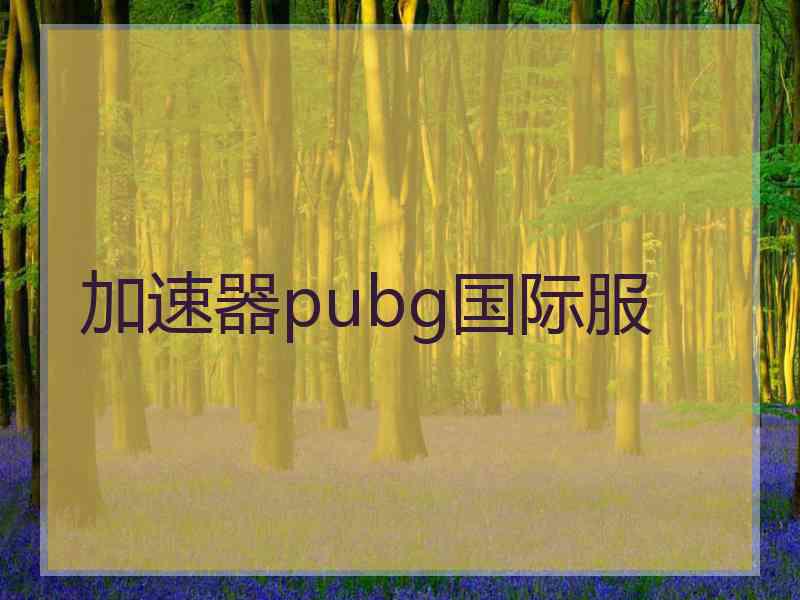 加速器pubg国际服