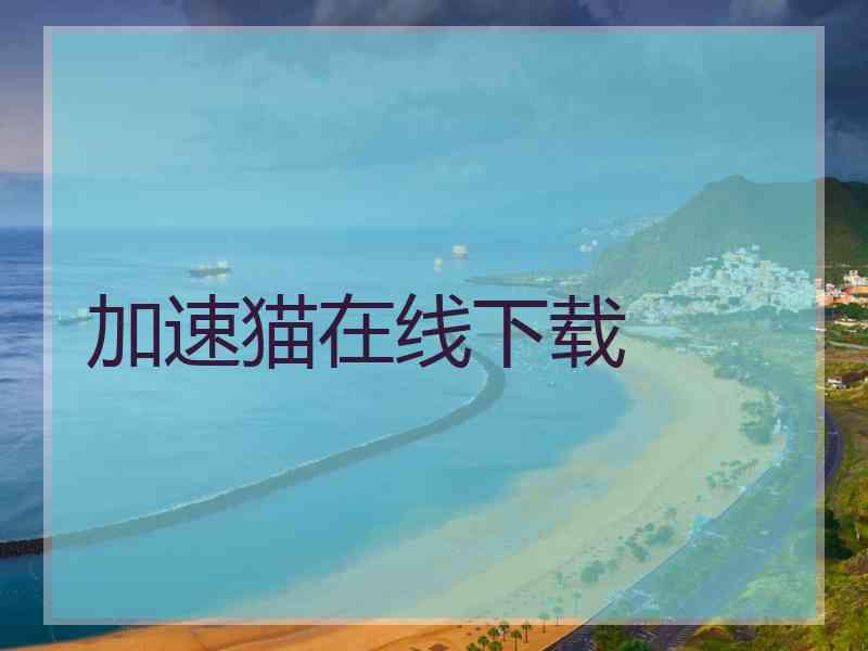 加速猫在线下载