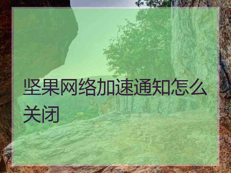 坚果网络加速通知怎么关闭