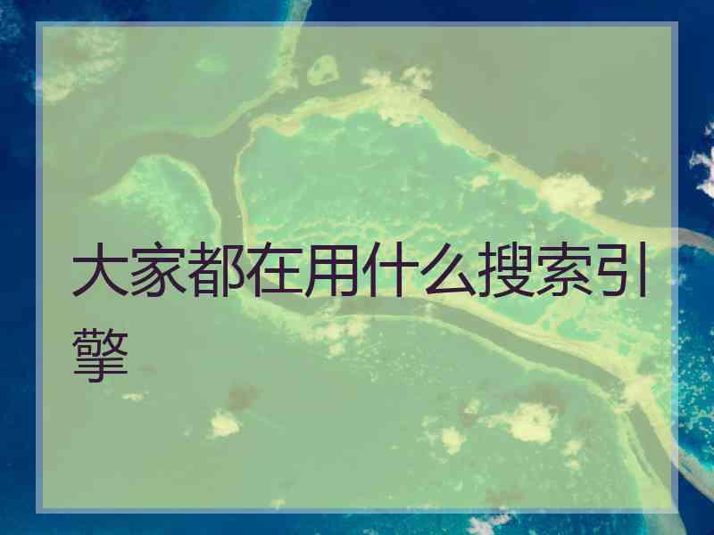 大家都在用什么搜索引擎