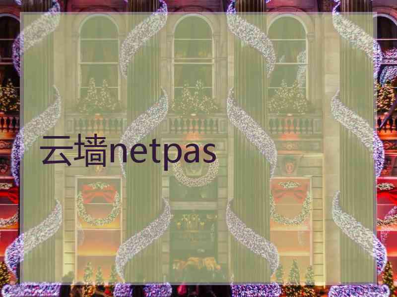 云墙netpas