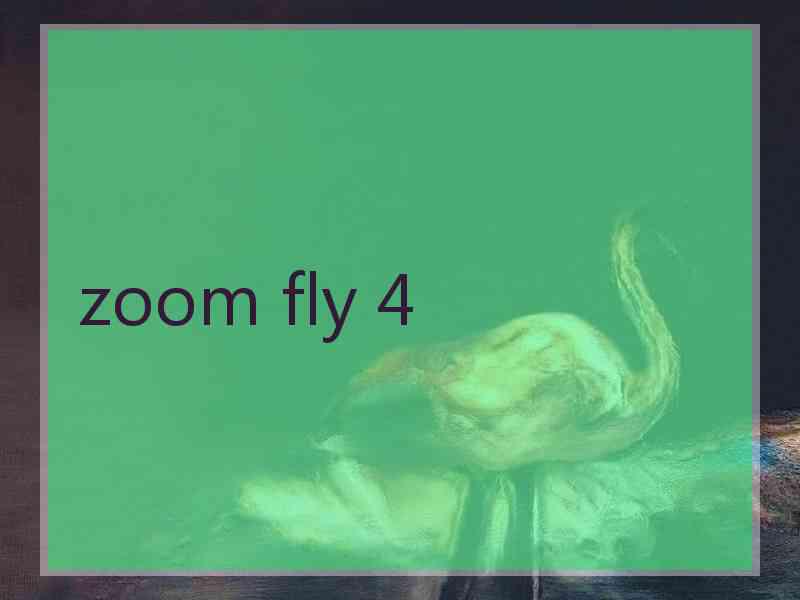zoom fly 4