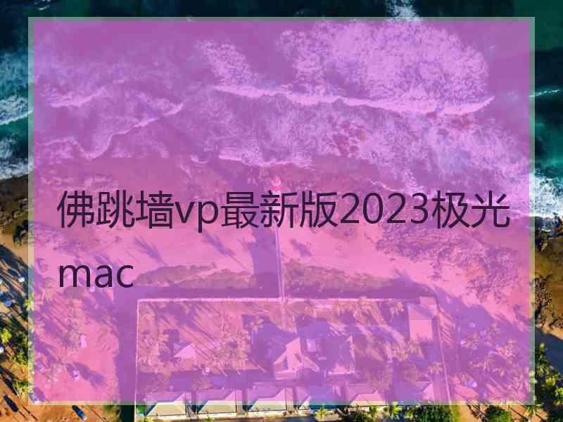 佛跳墙vp最新版2023极光 mac
