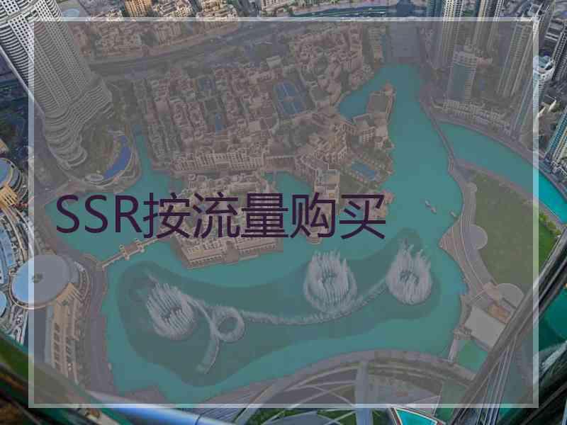 SSR按流量购买