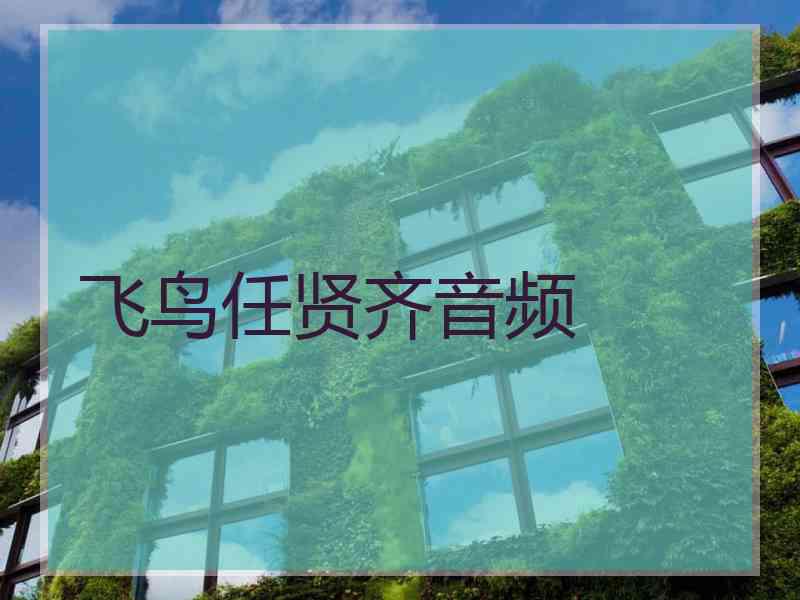 飞鸟任贤齐音频