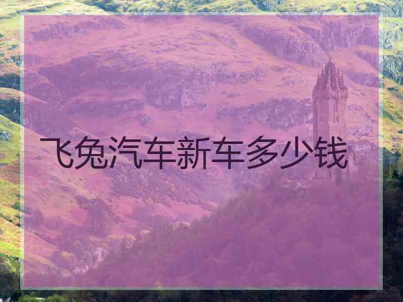 飞兔汽车新车多少钱