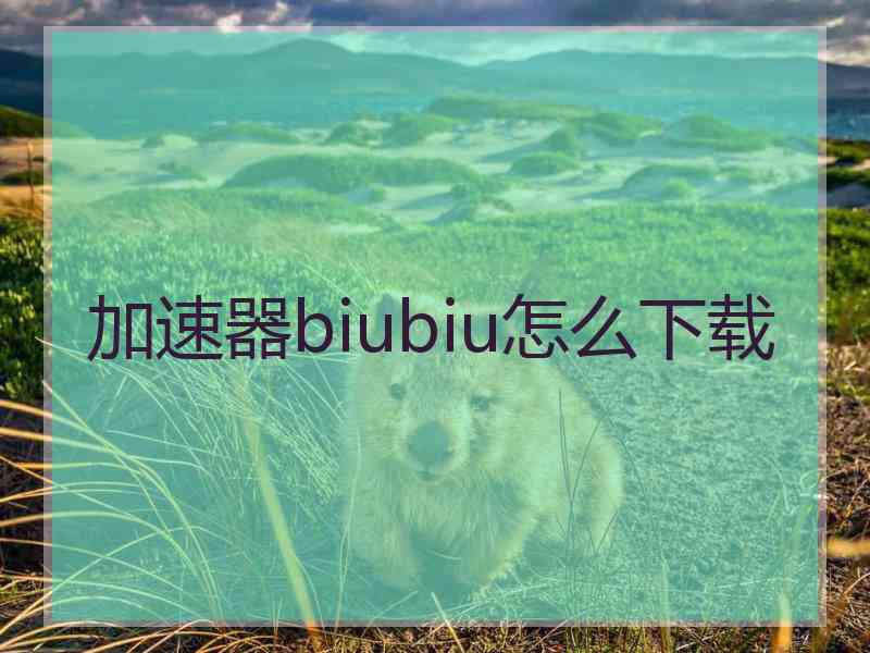 加速器biubiu怎么下载