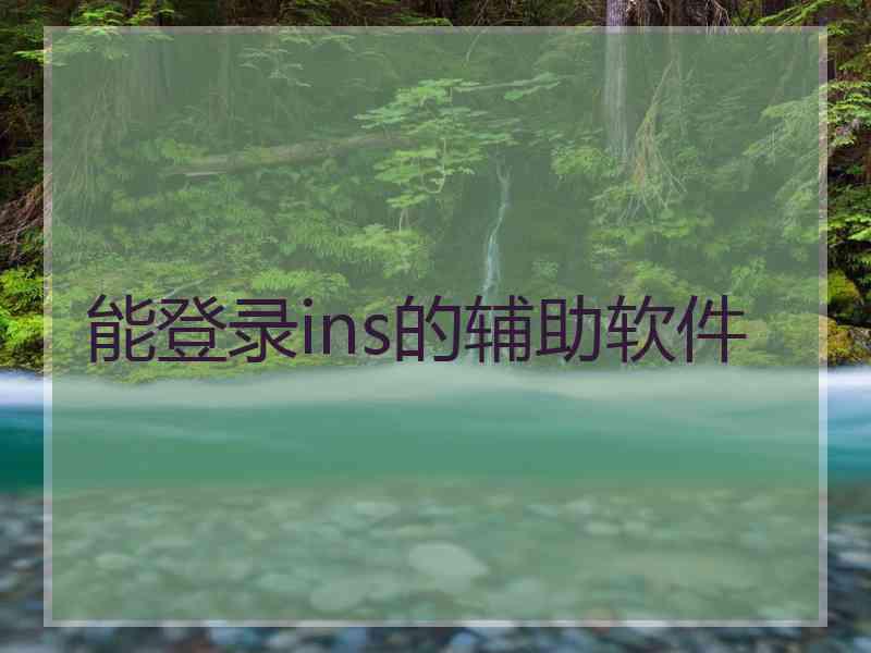 能登录ins的辅助软件