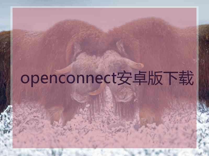 openconnect安卓版下载