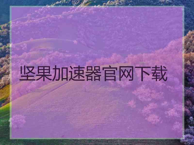 坚果加速器官网下载