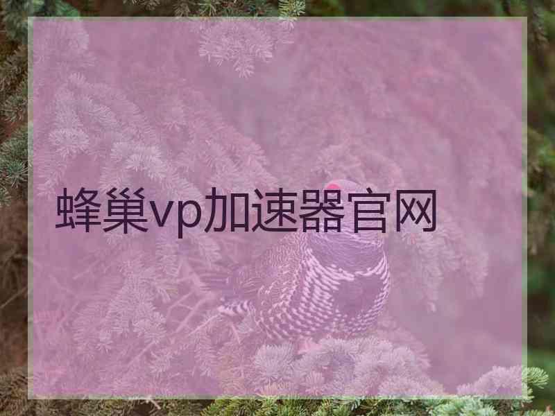 蜂巢vp加速器官网