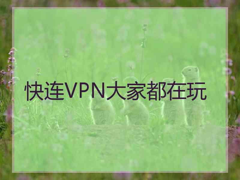 快连VPN大家都在玩