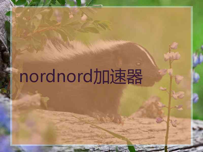 nordnord加速器