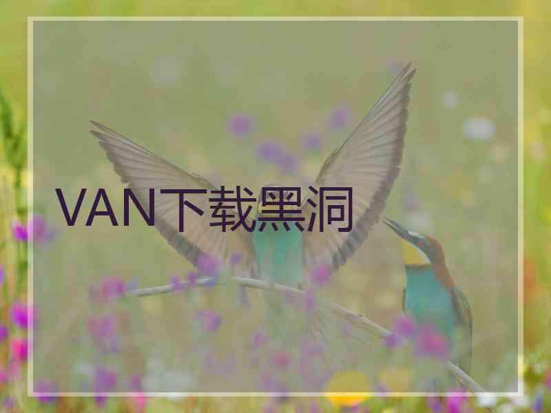 VAN下载黑洞