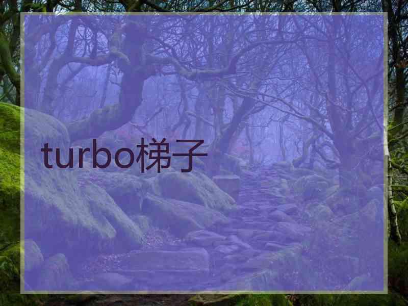 turbo梯子