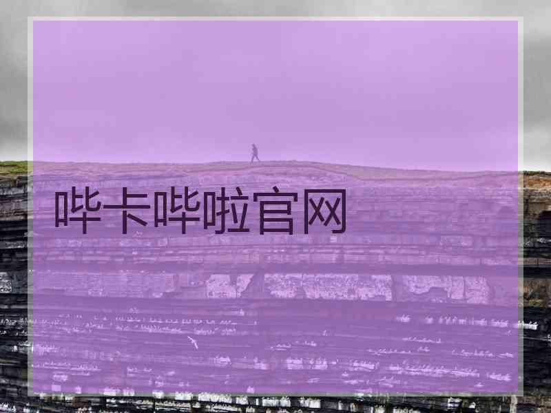 哔卡哔啦官网