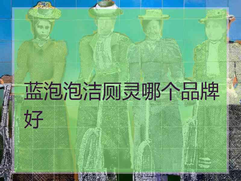 蓝泡泡洁厕灵哪个品牌好
