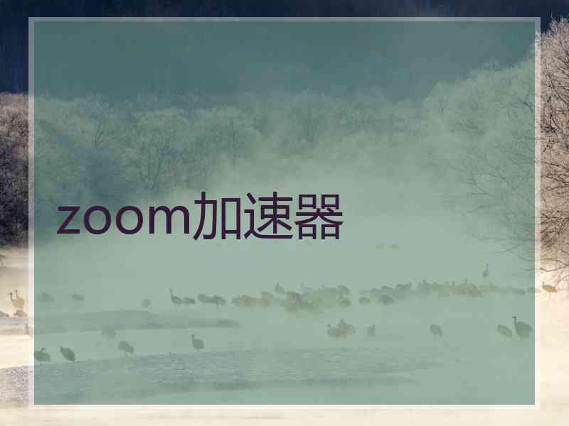 zoom加速器