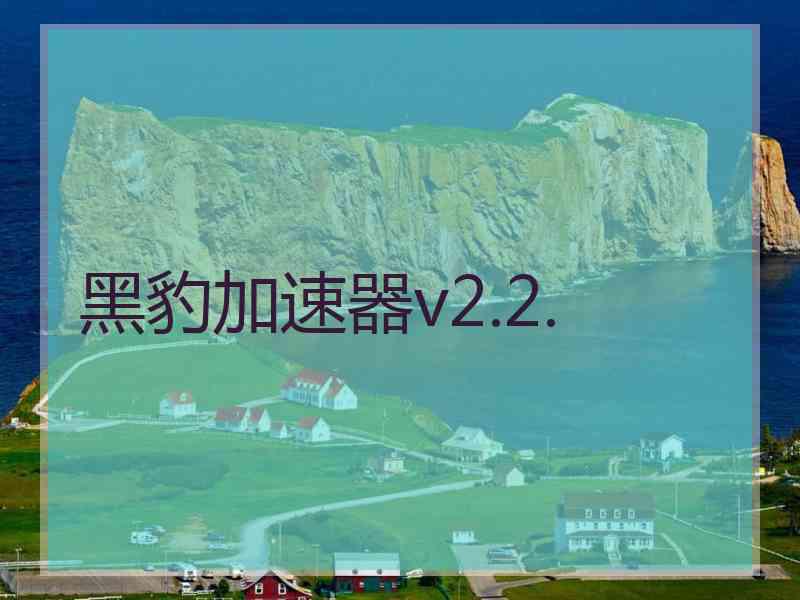 黑豹加速器v2.2.