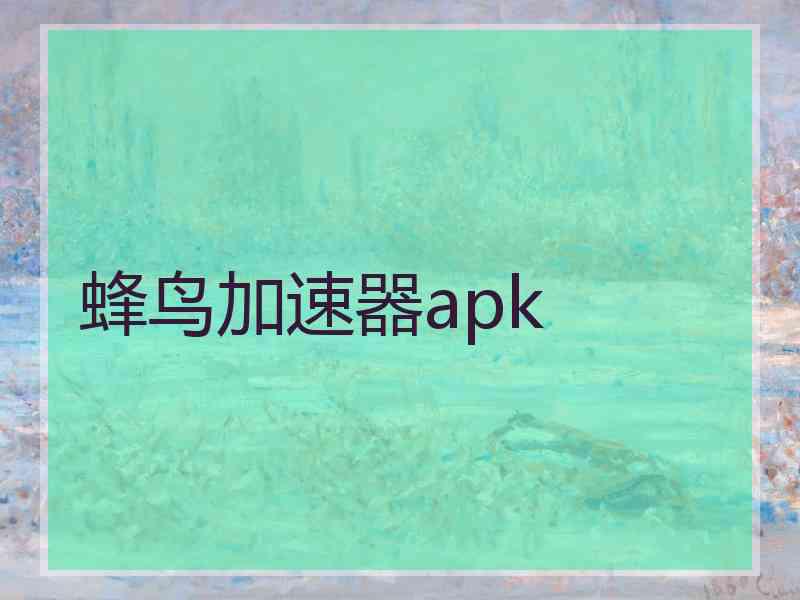 蜂鸟加速器apk