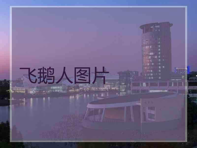 飞鹅人图片