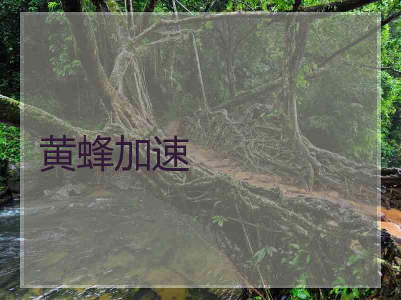 黄蜂加速