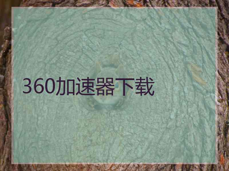 360加速器下载