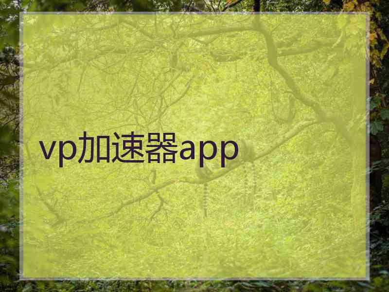 vp加速器app