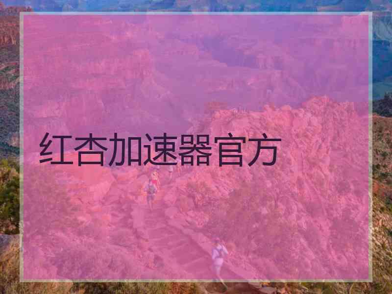 红杏加速器官方