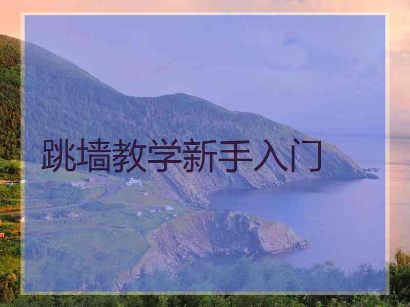 跳墙教学新手入门