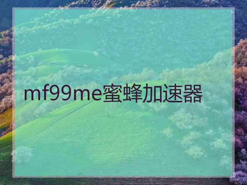 mf99me蜜蜂加速器