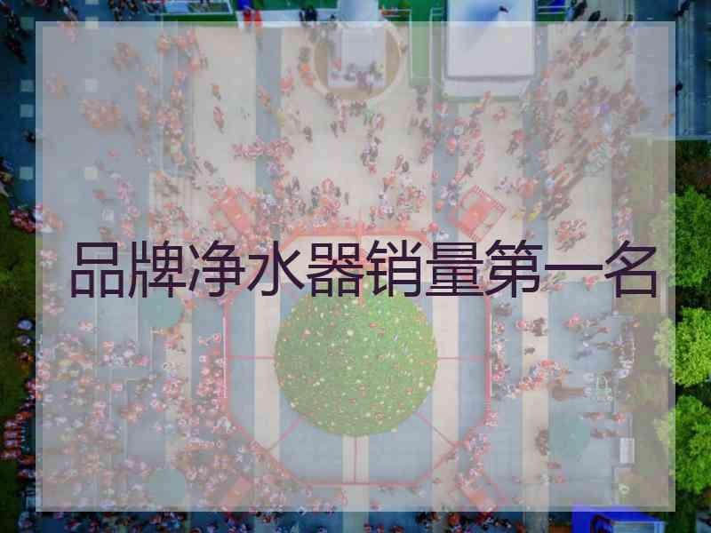 品牌净水器销量第一名