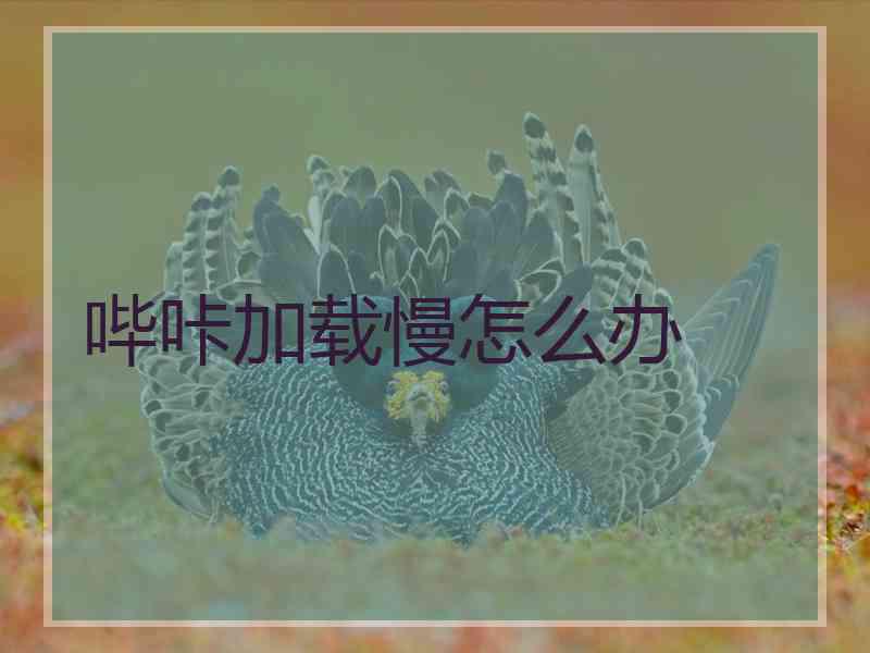 哔咔加载慢怎么办