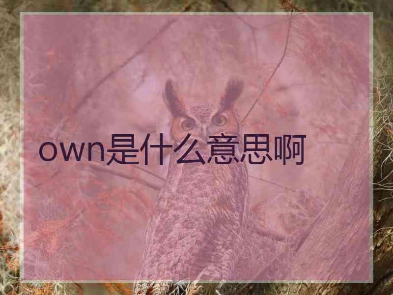 own是什么意思啊
