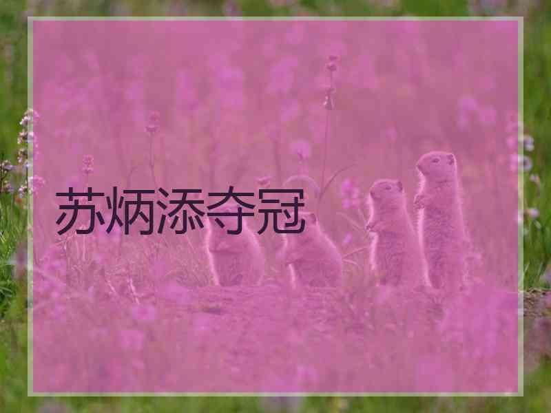 苏炳添夺冠