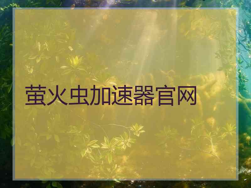 萤火虫加速器官网