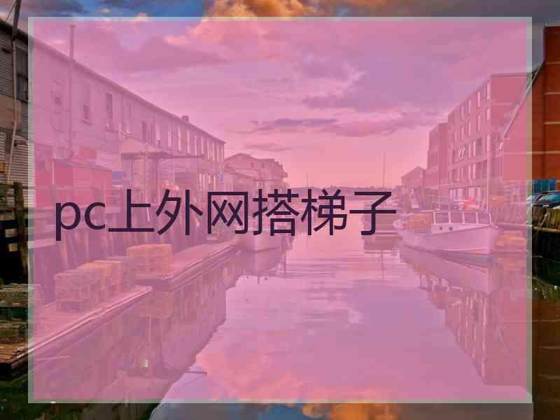 pc上外网搭梯子