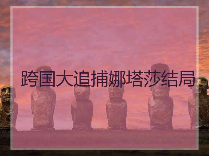 跨国大追捕娜塔莎结局