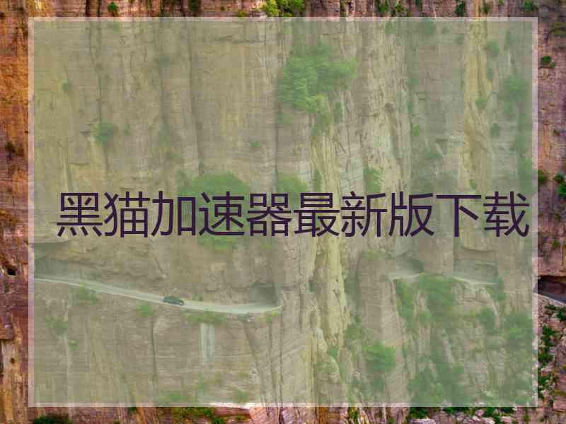 黑猫加速器最新版下载