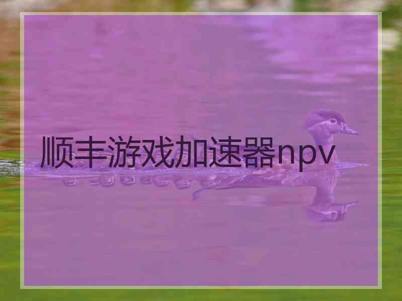 顺丰游戏加速器npv