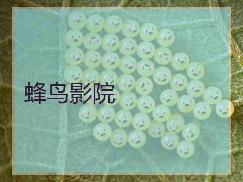 蜂鸟影院