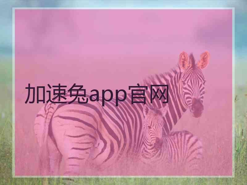 加速兔app官网