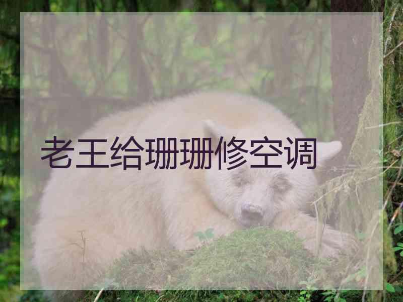 老王给珊珊修空调