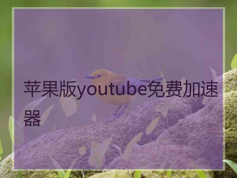 苹果版youtube免费加速器