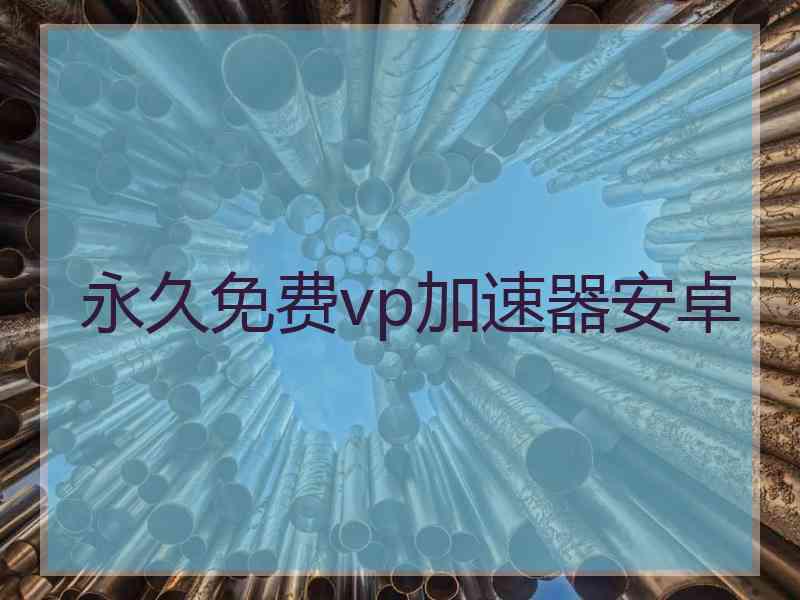 永久免费vp加速器安卓